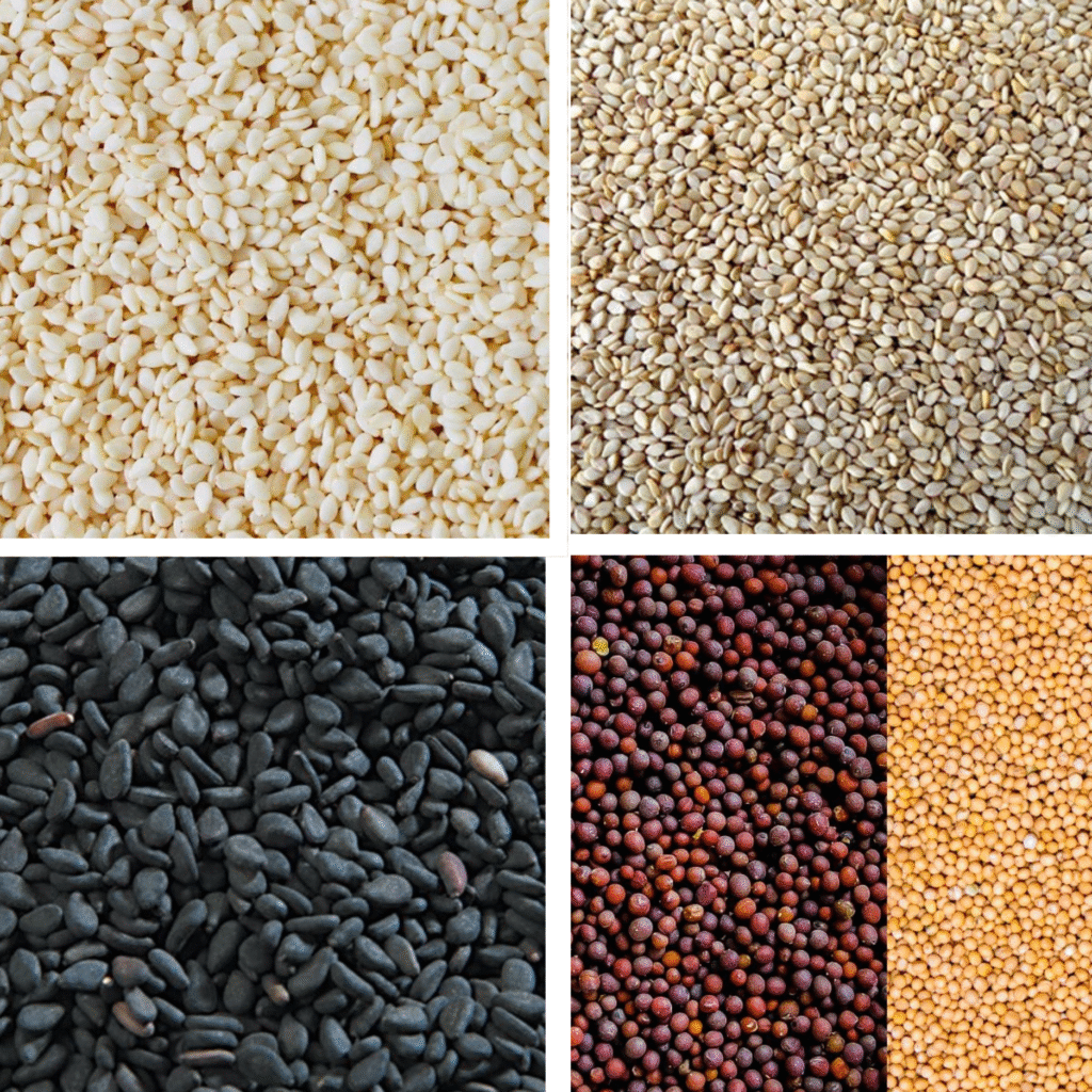 Oil Seed Exporter in india
