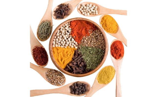 best spices manufacturers in india
