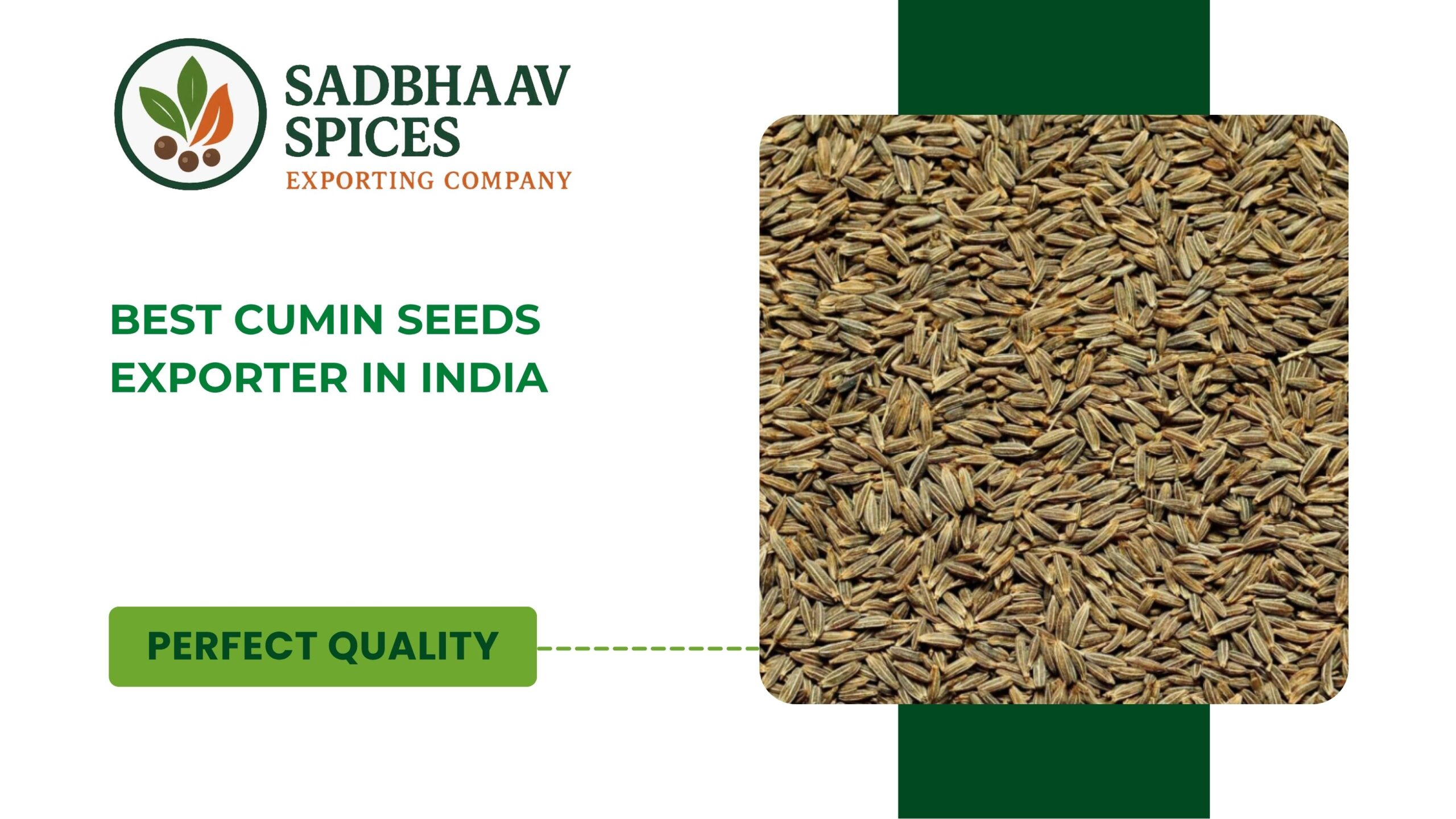 Best Cumin Seeds Exporter in India