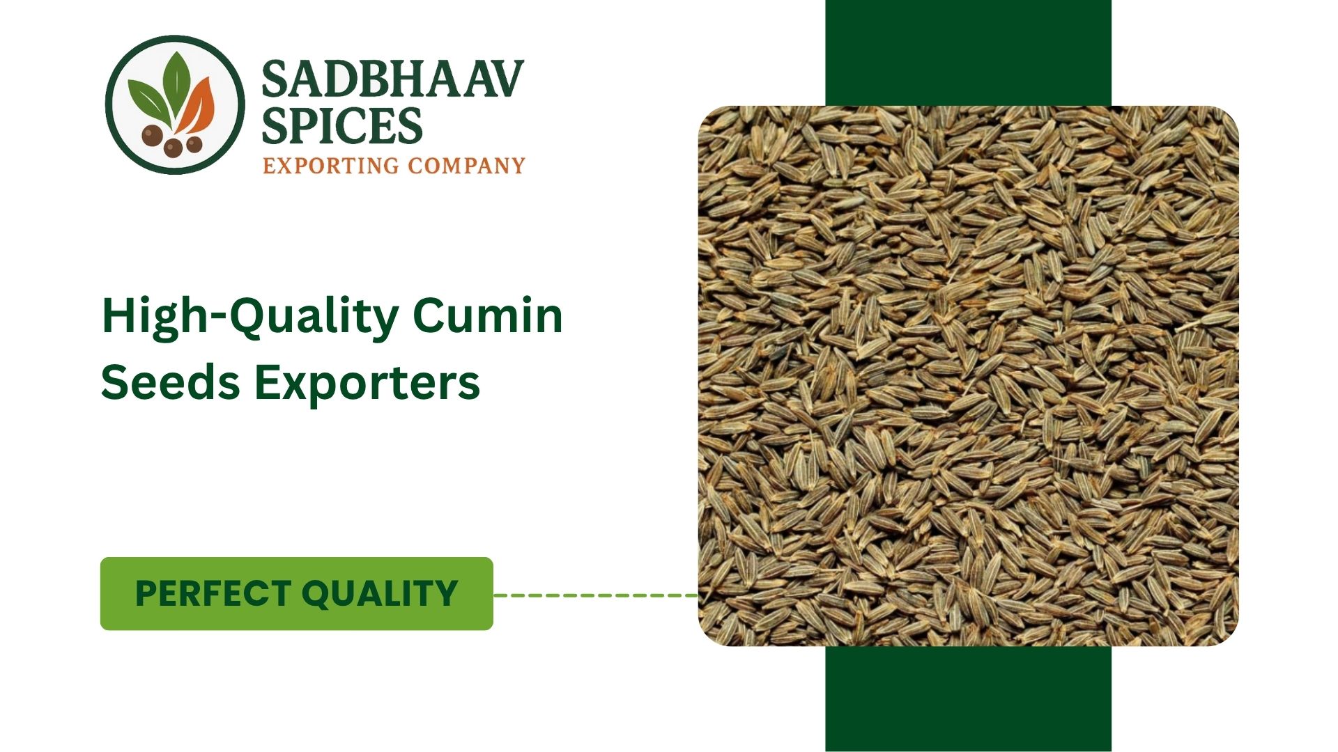 High-Quality Cumin Seeds Exporters 