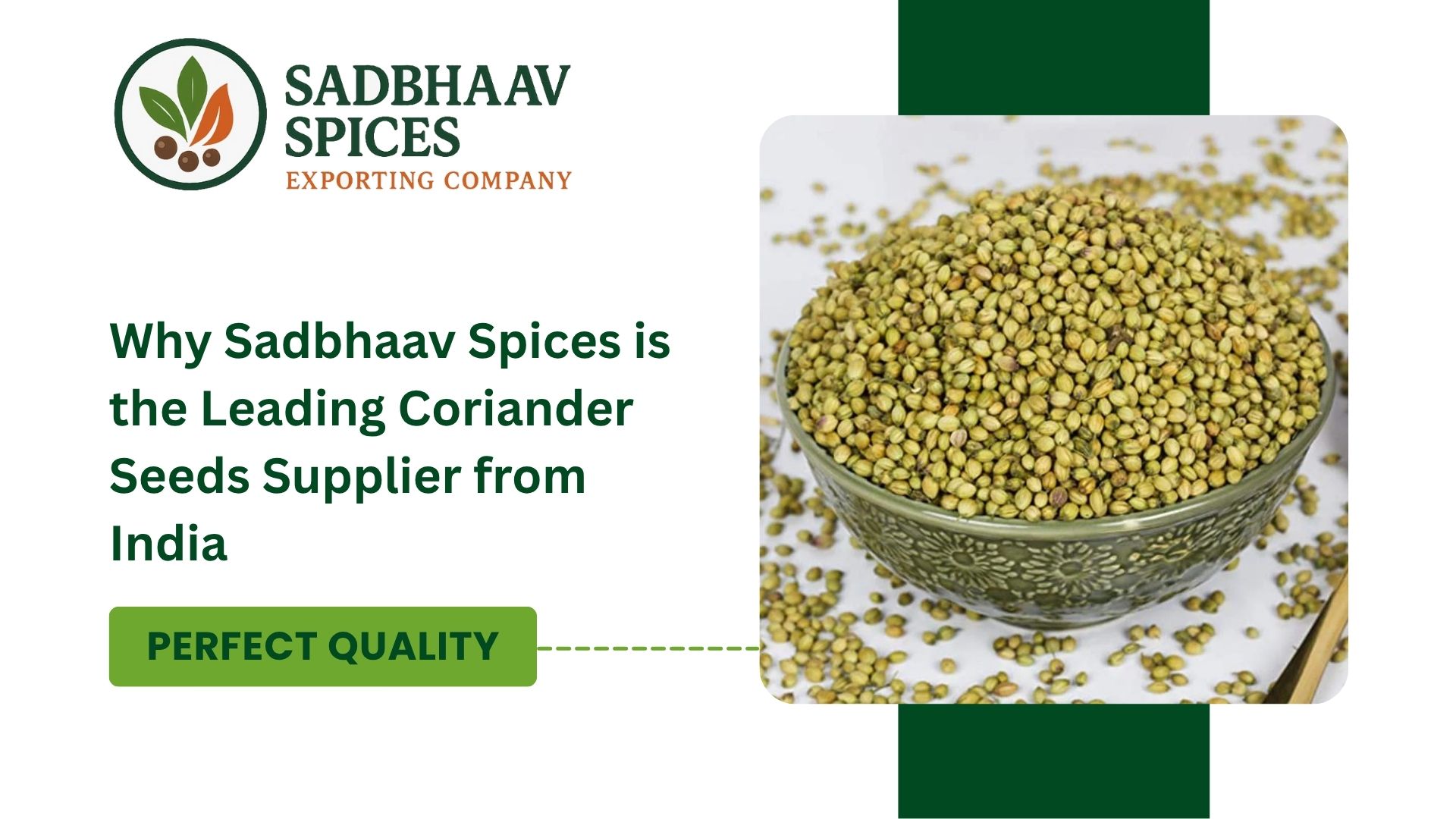 Why Sadbhaav Spices is the Leading Coriander Seeds Supplier from India