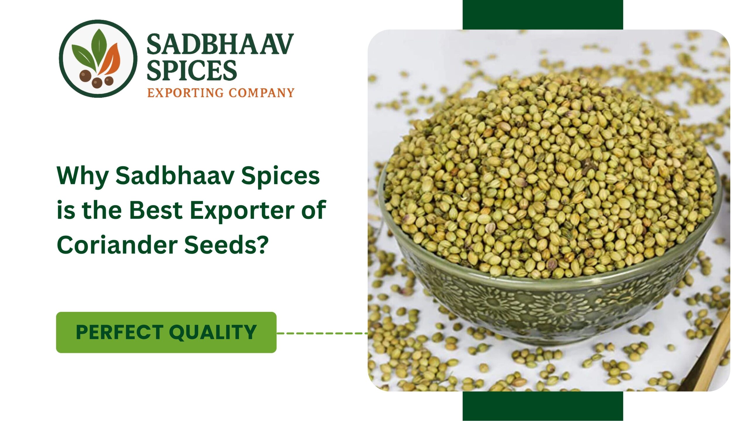 Why Sadbhaav Spices is the Best Exporter of Coriander Seeds?