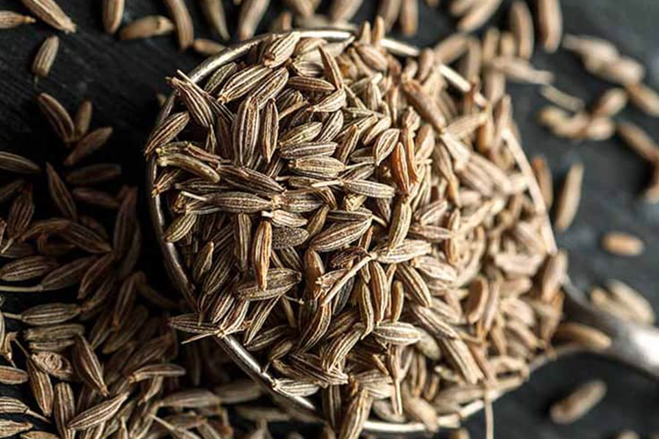 Cumin Seed Manufacturers