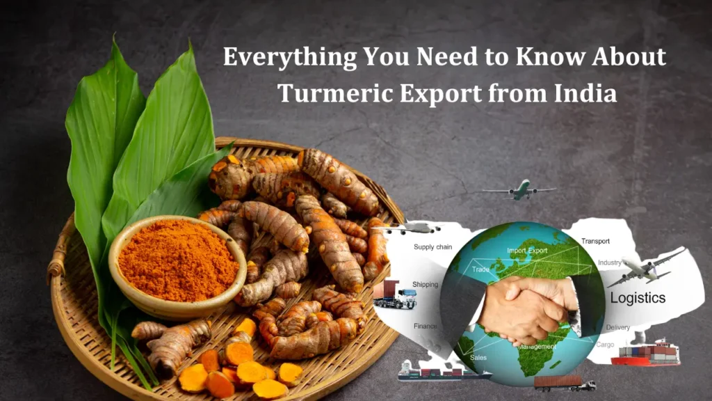 Turmeric Exporters