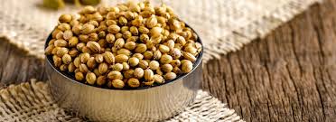 Coriander Seed Exporters