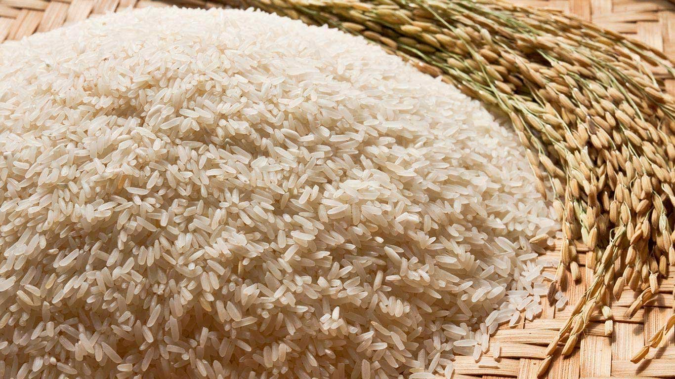 Rice Export Prices 2026: India $1,100 vs Thailand $1,250