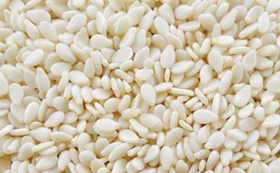 Sesame Seeds Suppliers in India