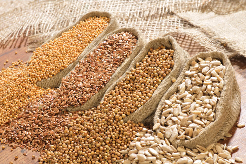 oilseeds export from india
