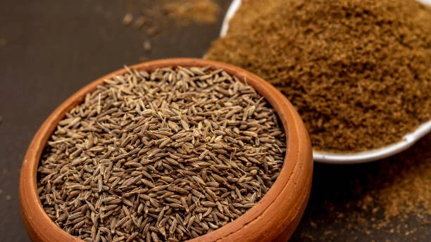 Sourcing Organic Cumin Seeds from India