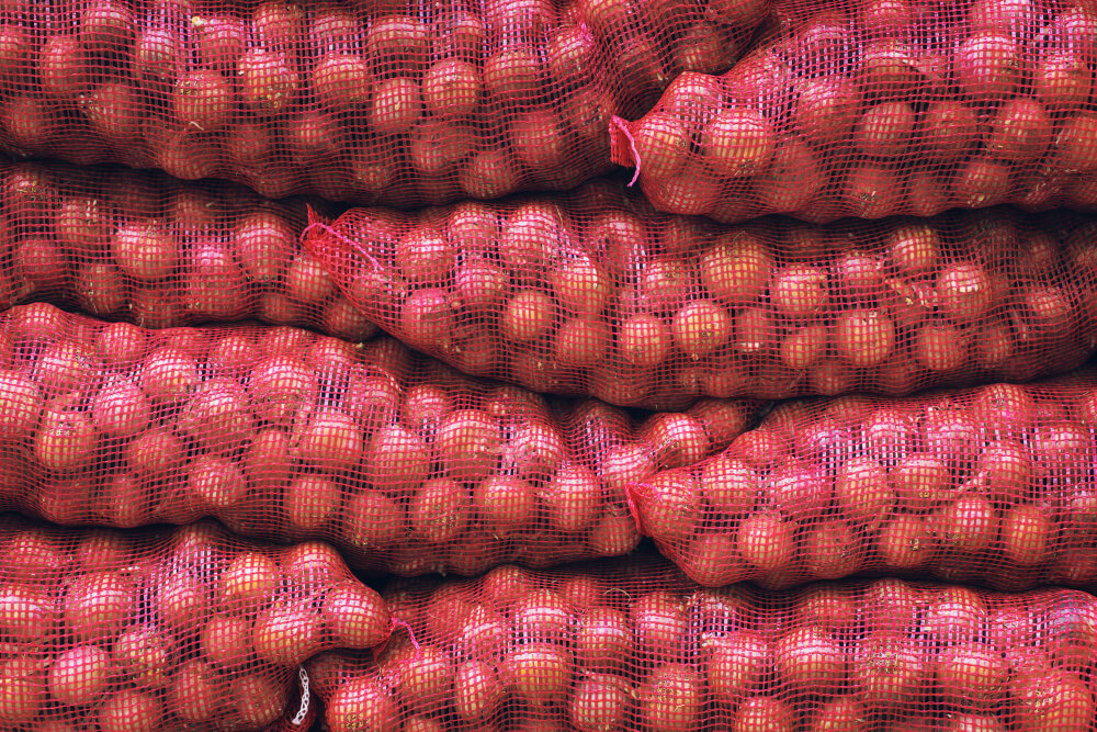 Red Onion Export from India