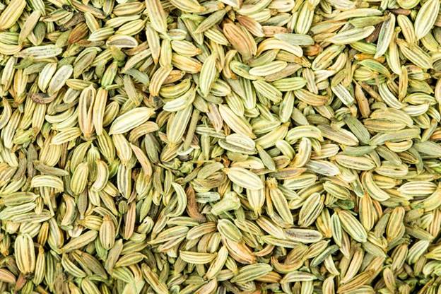 Fennel seeds