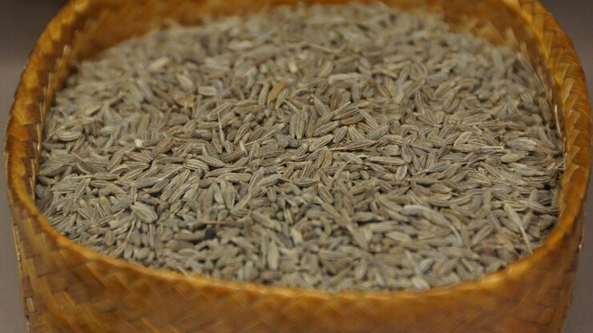 bulk cumin seeds wholesale