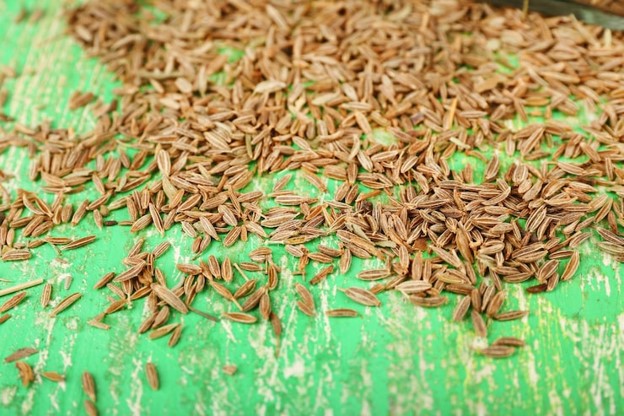 cumin seeds USA importer