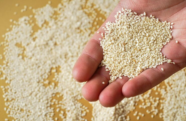 hulled sesame seeds exporter