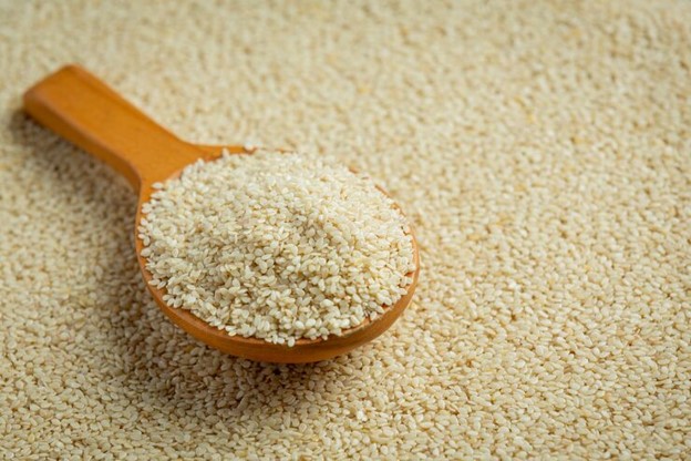 white sesame seeds bulk exporter